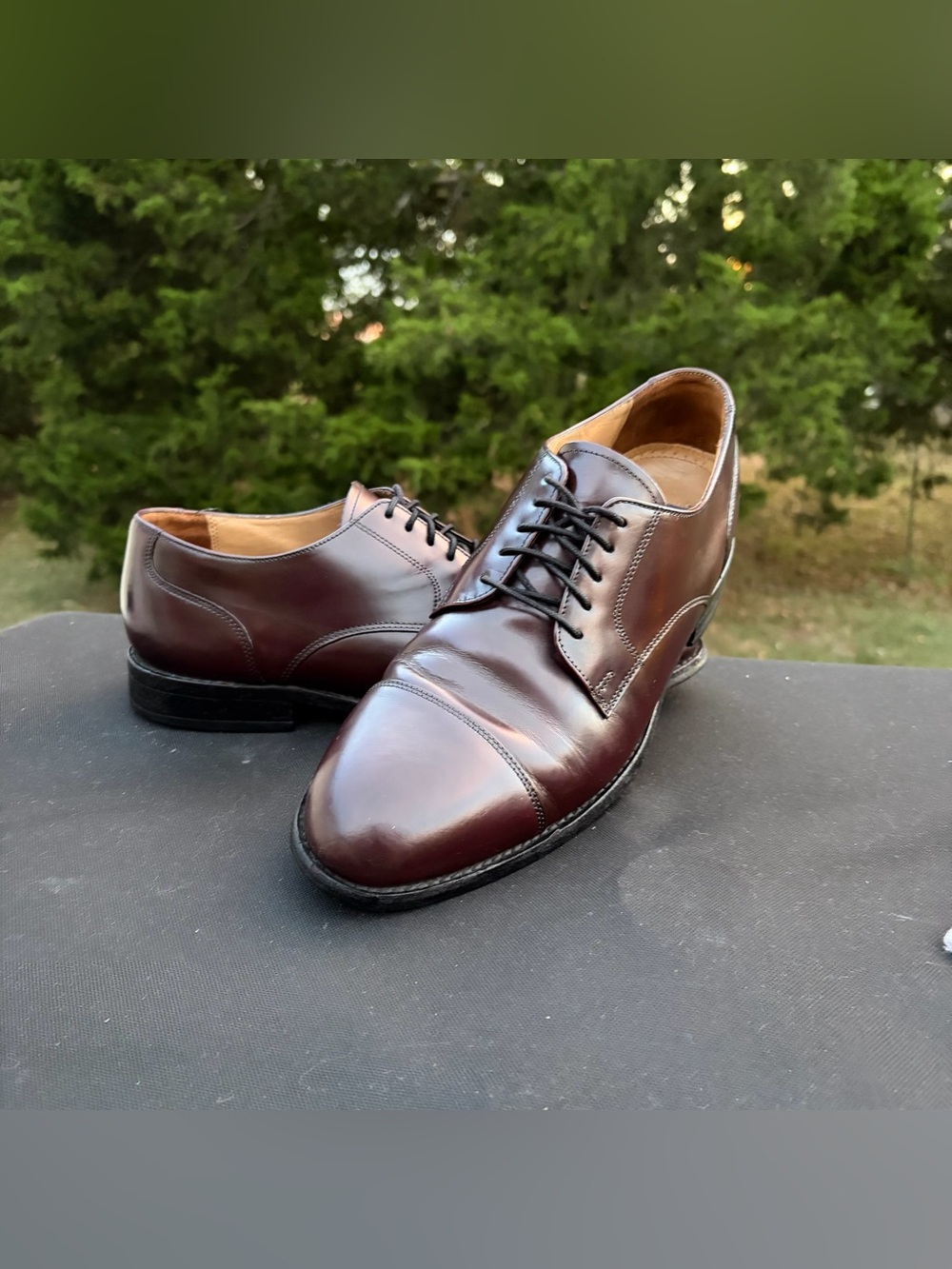 Bostonian Crown Windsor Burgundy Cap Toe Dress Shoes 9.5
